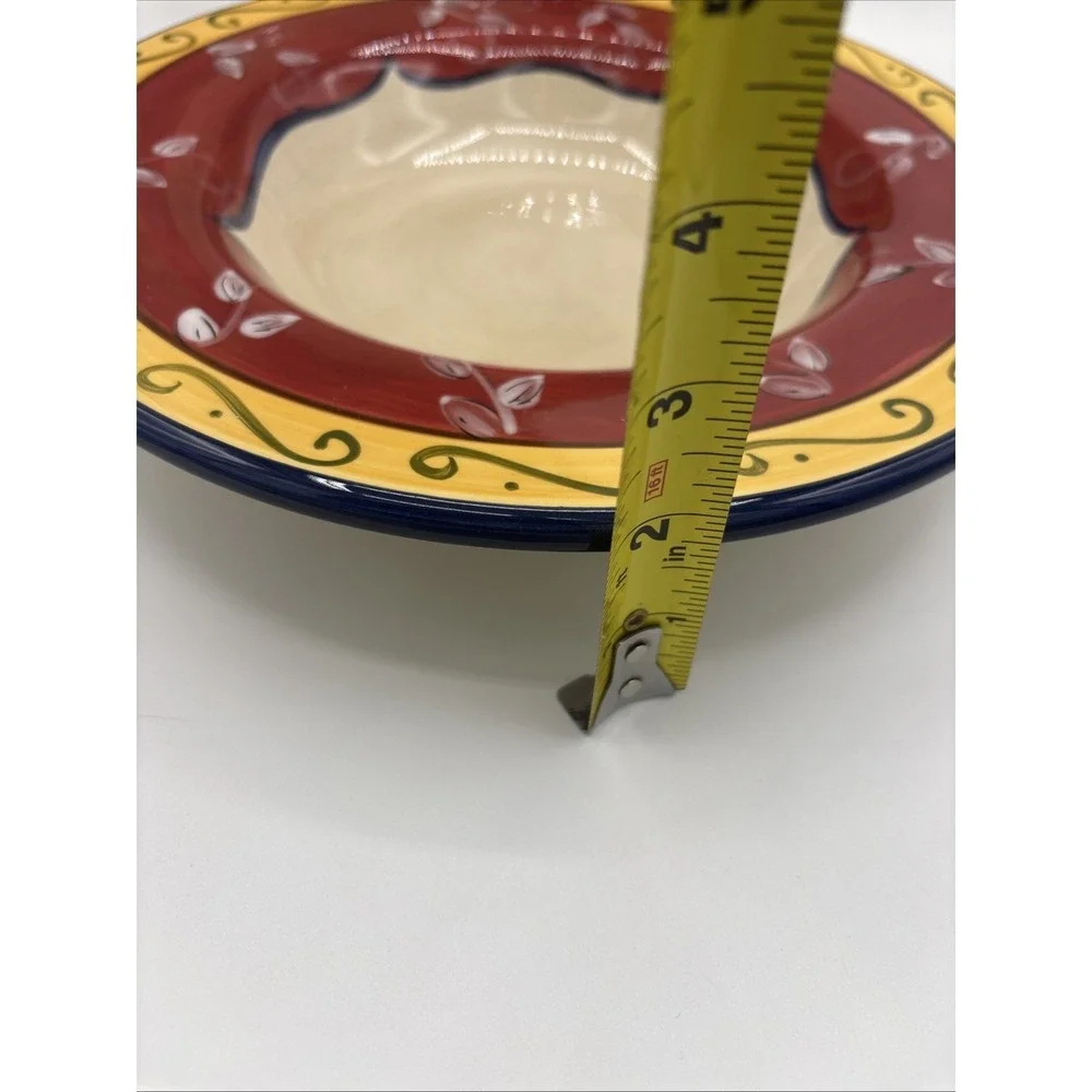 Pier 1 Vallarta Large Rimmed Pasta Bowls 10 1/2